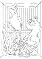 coloriage rio blu et perla en cage
